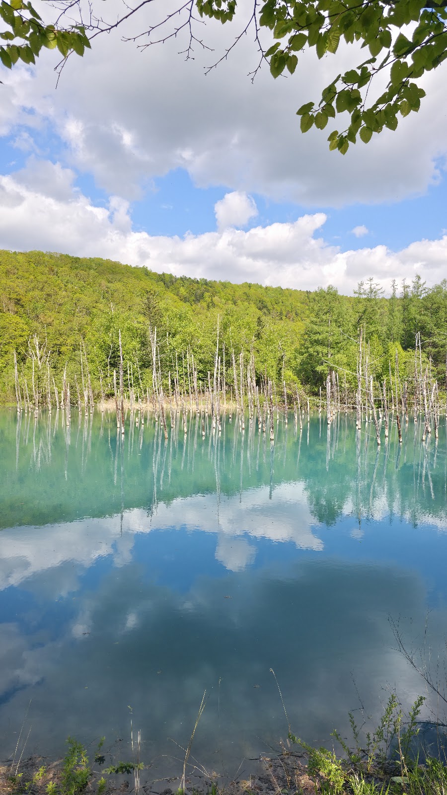 Aoi Pond