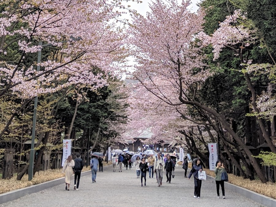 圓山公園